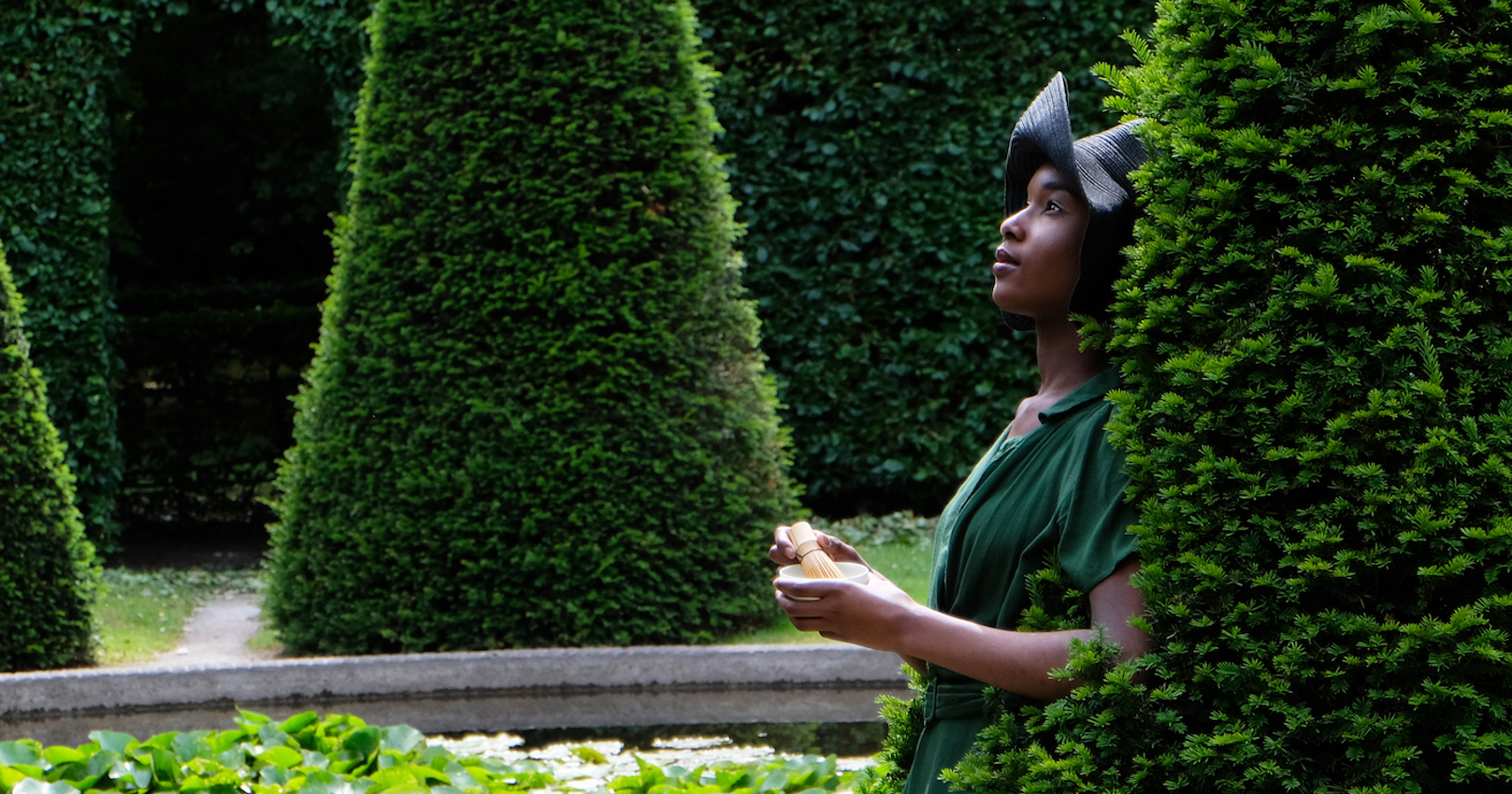 Losse groene thee